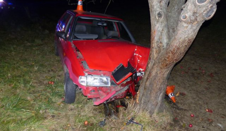 Řidička dostala mikrospánek a narazila do stromu. Ona i spolujezdkyně skončily v nemocnici