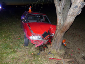 Řidička dostala mikrospánek a narazila do stromu. Ona i spolujezdkyně skončily v nemocnici