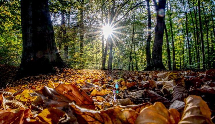 POČASÍ NA SOBOTU: I dnes bude zataženo, ale během dne se vyjasní