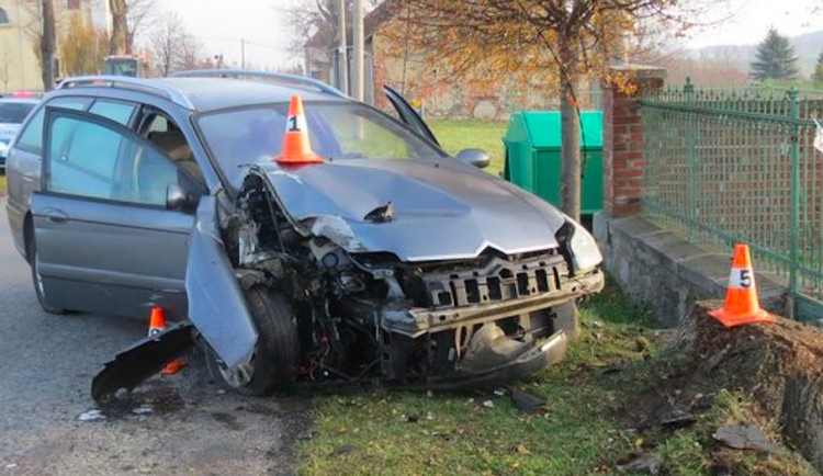 Opilý devatenáctiletý řidič strhl řízení kvůli psovi na silnici, skončil ve sloupu veřejného osvětlení