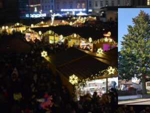 Hledá se jméno pro olomoucký vánoční strom, kterým bude dvacetimetrová douglaska z Věrovan