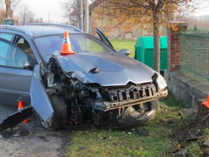 Opilý devatenáctiletý řidič strhl řízení kvůli psovi na silnici, skončil ve sloupu veřejného osvětlení