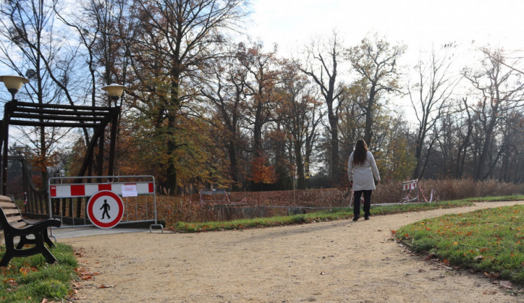 Dřevomorka zničila mosty v parku. Město zaplatí za opravu dvojnásobek