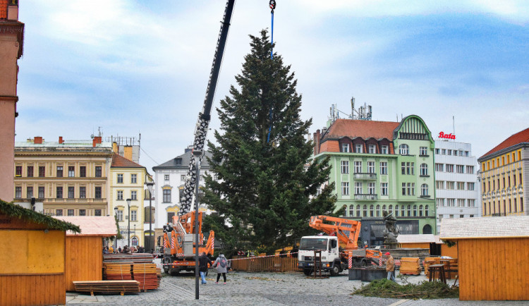FOTO/VIDEO: Na náměstí už stojí vánoční stromeček. Jméno se dozvíme při pátečním rozsvěcení