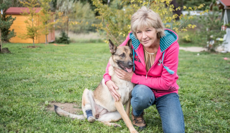 VIDEO: Kniha Příběhy statečných pomůže pejskům v útulcích. Pomoci můžete i vy