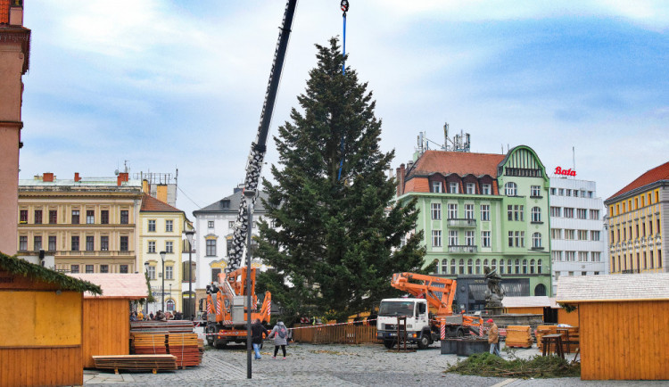 V Olomouci se dnes rozsvítí vánoční strom, dopravní podnik posiluje tramvajový provoz
