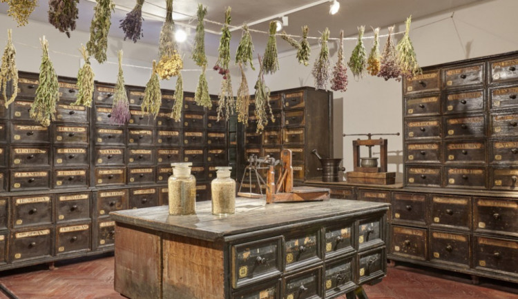 Olomoucké muzeum otevřelo vzácné herbárium. Jde o nejstarší dochovanou kompletní sbírku u nás
