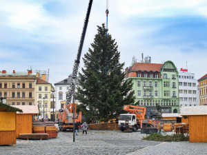 V Olomouci se dnes rozsvítí vánoční strom, dopravní podnik posiluje tramvajový provoz