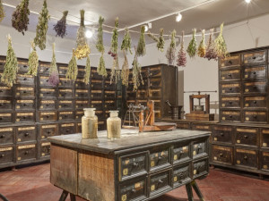 Olomoucké muzeum otevřelo vzácné herbárium. Jde o nejstarší dochovanou kompletní sbírku u nás