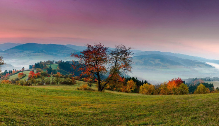 POČASÍ NA ČTVRTEK: Můžeme se těšit na jasnou oblohu, ráno místy mrznoucí mlhy