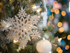 Podívejte se, kde všude proběhne rozsvícení vánočního stromu. Čekají vás koncerty i strom splněných přání