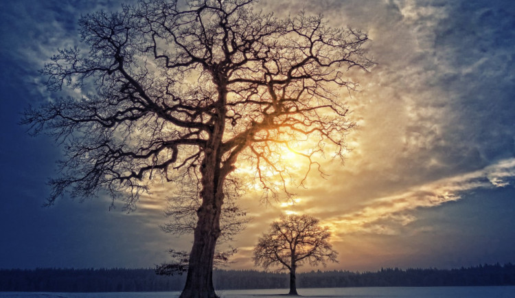 POČASÍ NA NEDĚLI: Zatažená obloha, sněžení, vítr, déšť a ledovka, taková bude neděle