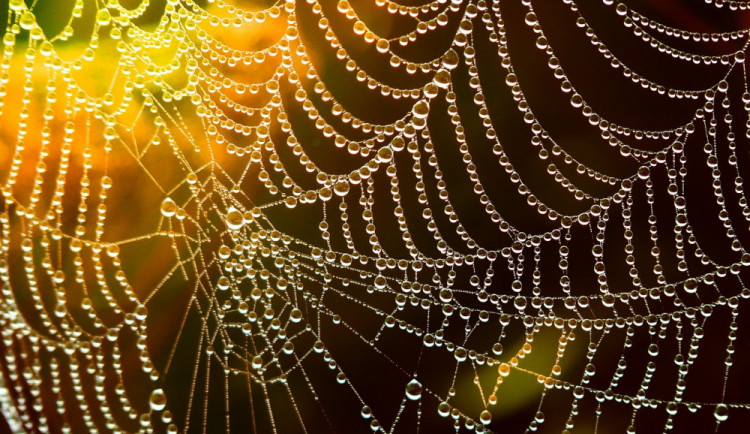 POČASÍ NA ÚTERÝ: Dnes zaprší, sníh napadne jen ve vyšších polohách