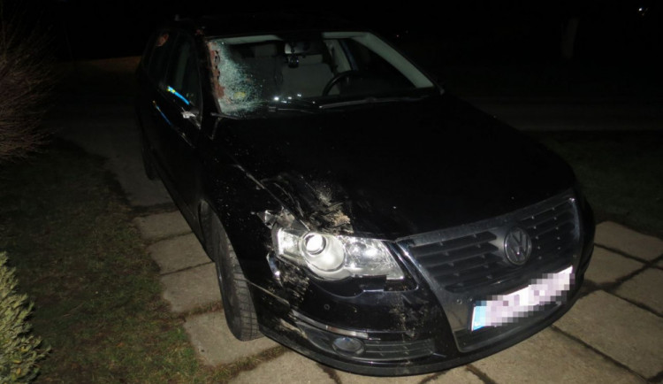 Kůň vběhl řidiči před auto, střetu se nepodařilo zabránit a zvíře bylo zraněno. Majitelka koně dostala pokutu