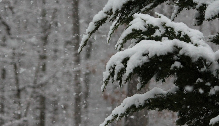 POČASÍ NA PONDĚLÍ: Přes den bude oblačno, večer zasněží