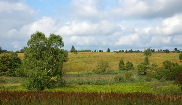 Na obnovu lesů, pitnou vodu z vlastního zdroje a bytový fond se zaměří obce na Libavé