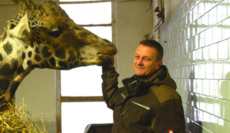 Den s ošetřovatelem: Zoo má dvě tváře. Ta druhá se ukazuje, když jdeme domů