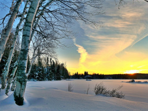 V pátek začne astronomická zima, dny se začnou prodlužovat