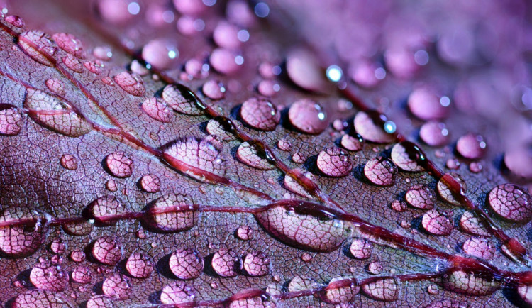 POČASÍ NA NEDĚLI: Ze zatažené oblohy nám zaprší, ve vyšších polohách zasněží