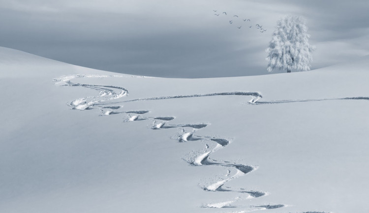 Mezi svátky si lyžaři užívali v Jeseníkách, je tam kolem sedmdesáti centimetrů sněhu
