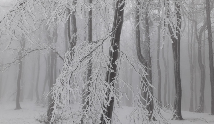 POČASÍ NA ÚTERÝ: Na Nový rok bude zataženo, někde zaprší, jinde napadne sníh