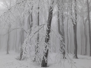 POČASÍ NA ÚTERÝ: Na Nový rok bude zataženo, někde zaprší, jinde napadne sníh