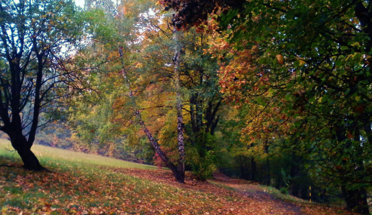 Na jaře čeká Muzikantskou stezku v Jeseníku obnova, stejně jako Editin pramen
