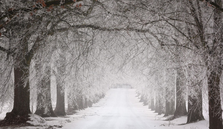 POČASÍ NA ČTVRTEK: Čeká nás oblačno, místy zasněží a na horách se budou tvořit závěje