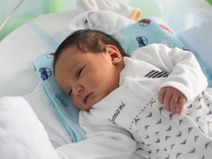 FOTO: Byli jsme se podívat za prvním narozeným Olomoučánkem Josefem Spurným