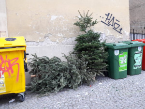 FOTO/VIDEO: Vánoce v Olomouci končí. Výzdoba je pryč, začal svoz vánočních stromů