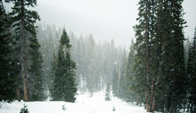 Ani vydatné sněhové přeháňky nedokázaly doplnit deficit vody v půdě