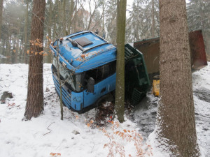 FOTO: Řidič nákladního auta nezvládl řízení, skončil v lesním porostu