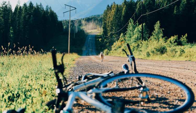 Pes vběhl cyklistovi před kolo. Ten se udeřil do hlavy a musel být letecky transportován do nemocnice