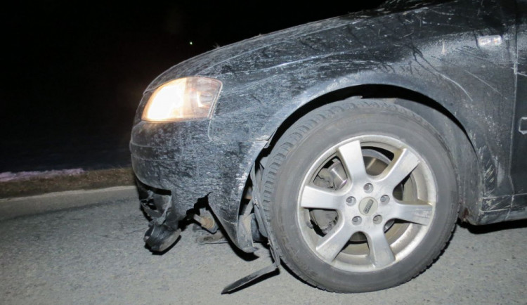 Dvě srny našly smrt pod koly aut. Řidičům vznikla škoda za několik tisíc