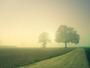 V Olomouckém kraji vyhlásili meteorologové smogovou situaci kvůli polétavému prachu