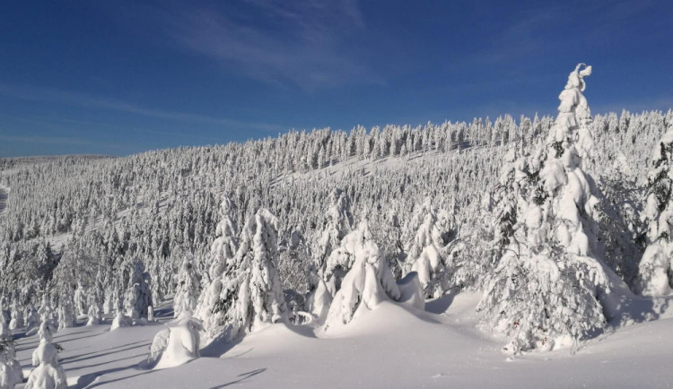 V Jeseníkách leží dva metry sněhu, lyžařské areály jsou plně v provozu