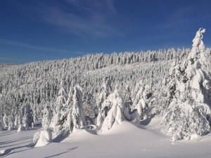 V Jeseníkách leží dva metry sněhu, lyžařské areály jsou plně v provozu