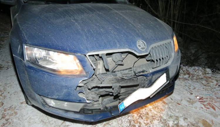 Volně pobíhající pes vyběhl z příkopu rovnou před auto, které ho srazilo. Majitel psa se dopustil přestupku