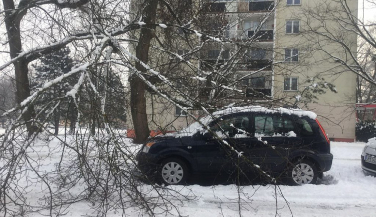 V Pionýrské ulici se pod tíhou sněhu ulomila větev a spadla na zaparkované auto