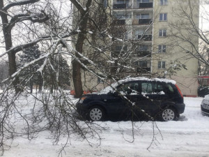 V Pionýrské ulici se pod tíhou sněhu ulomila větev a spadla na zaparkované auto