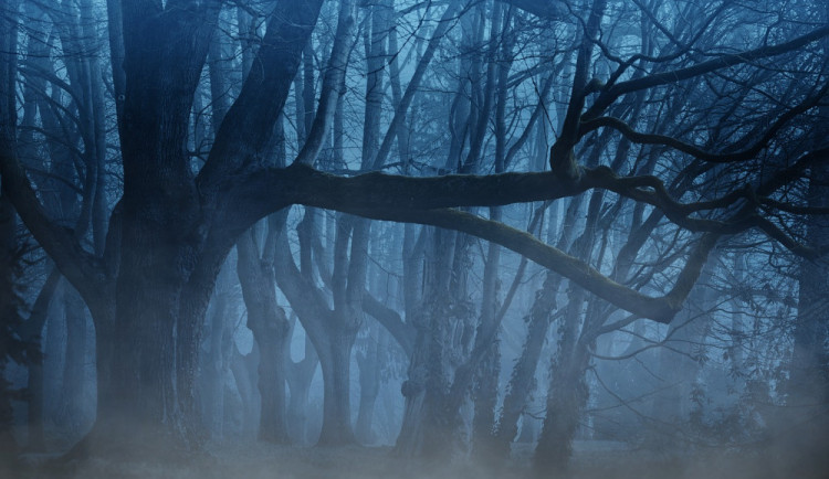 POČASÍ NA ČTVRTEK:  Dnes bude zataženo, místy polojasno. Ráno se mohou tvořit mrznoucí mlhy