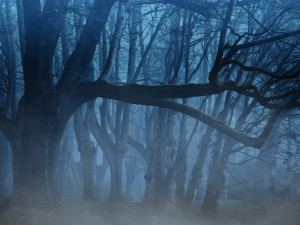 POČASÍ NA ČTVRTEK:  Dnes bude zataženo, místy polojasno. Ráno se mohou tvořit mrznoucí mlhy