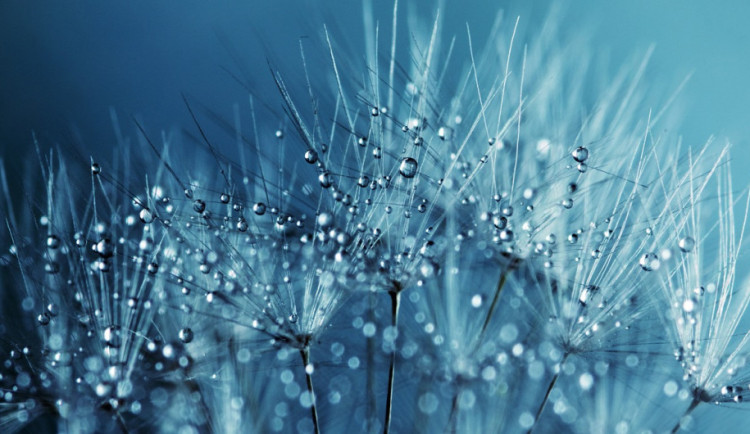 POČASÍ NA PÁTEK: Večer bude místy pršet a povane čerstvý vítr