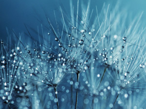 POČASÍ NA PÁTEK: Večer bude místy pršet a povane čerstvý vítr