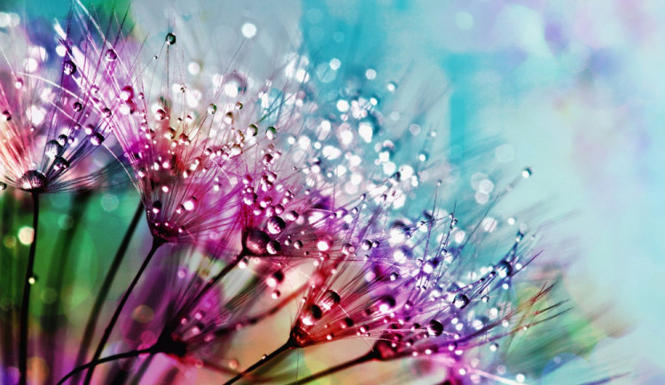 POČASÍ NA SOBOTU: Během dne zaprší a povane mírný vítr