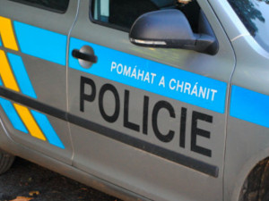 Dítě nalezené na poli u Věrovan zřejmě nezemřelo násilně. Matku stále hledá policie