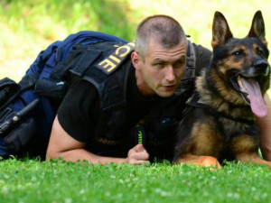 Zfetovaný muž bez řidičáku ujel policejní hlídce. Policejní pes ho našel schovaného v sadu