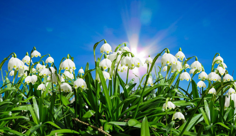 POČASÍ NA ÚTERÝ: Během dne se vyjasní, večer bude přibývat oblačnosti