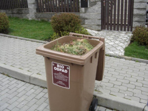 V březnu v Olomouci začne pravidelný svoz bioodpadu. Podívejte se na rozpis svozů