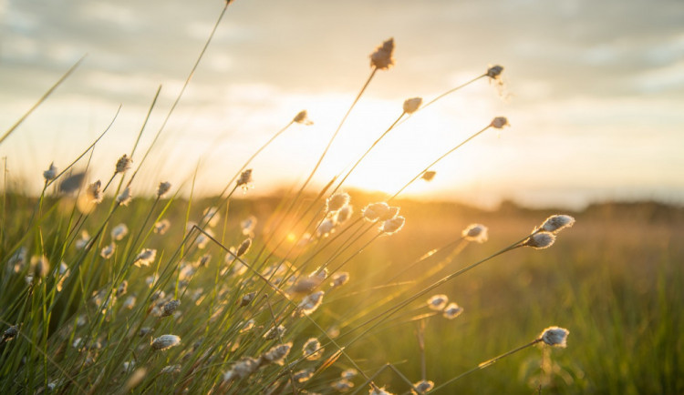 POČASÍ NA ÚTERÝ: Povane vítr a bude oblačno až polojasno
